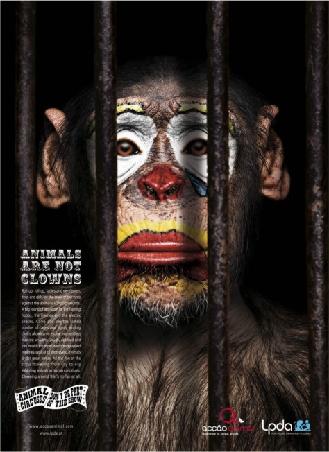 Campaña "Los animales no son payasos" de Acção Animal and Liga Portuguesa dos Direitos do Animal (LDPA).